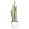 60586 Jolipa J-Line Kunstplant Cactus in Witte Pot