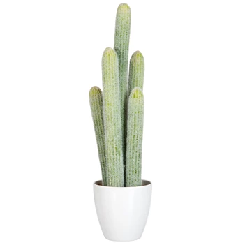 60586 Jolipa J-Line Kunstplant Cactus in Witte Pot