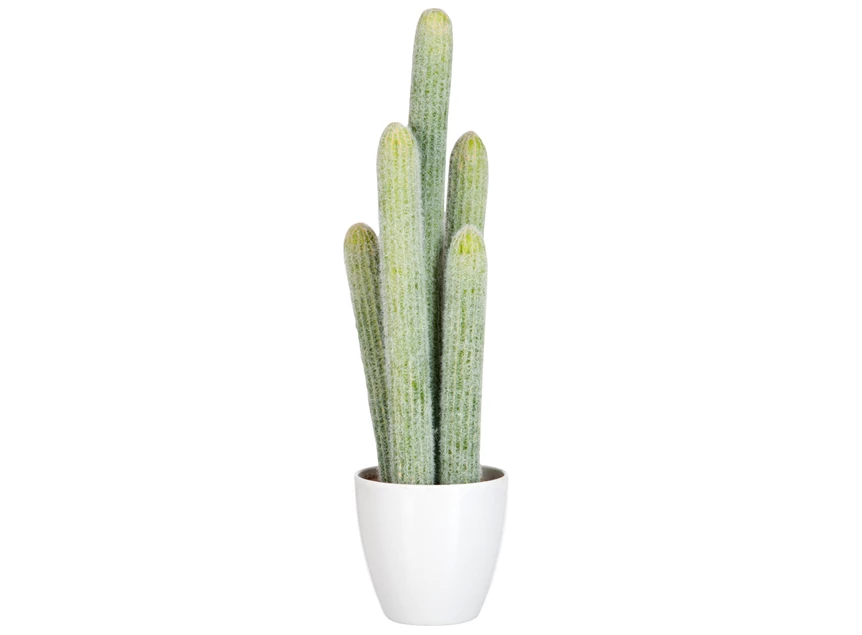 60586 Jolipa J-Line Kunstplant Cactus in Witte Pot