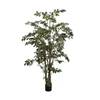 Kunstplant Ficus 213cm silk-ka