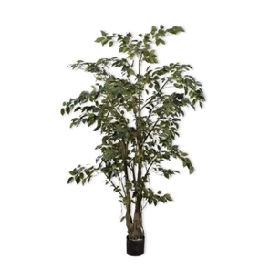 Kunstplant Ficus 213cm silk-ka