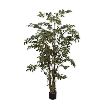 Kunstplant Ficus 213cm silk-ka