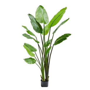 Kunstplant Strelitzia 183cm silk-ka