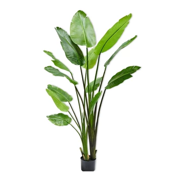 Kunstplant Strelitzia 183cm silk-ka