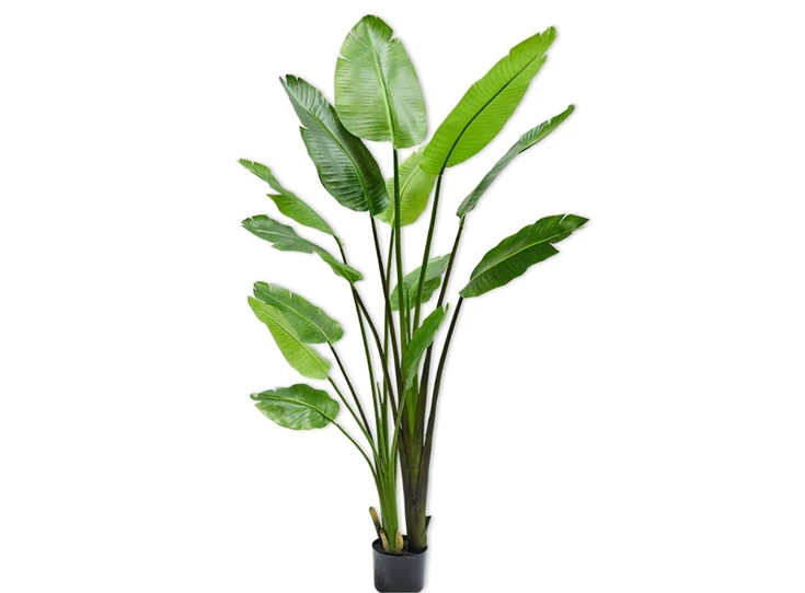 Kunstplant Strelitzia 183cm silk-ka