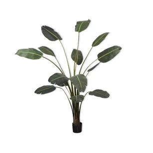 Kunstplant Strelitzia 213cm silk-ka