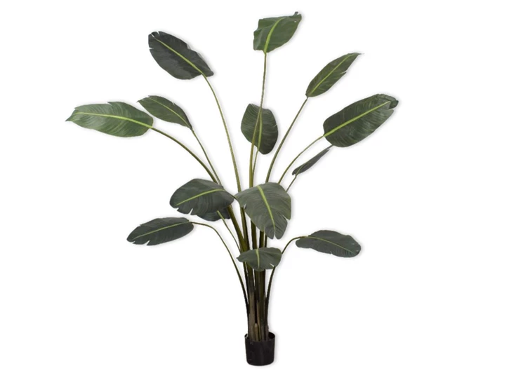 Kunstplant Strelitzia 213cm silk-ka
