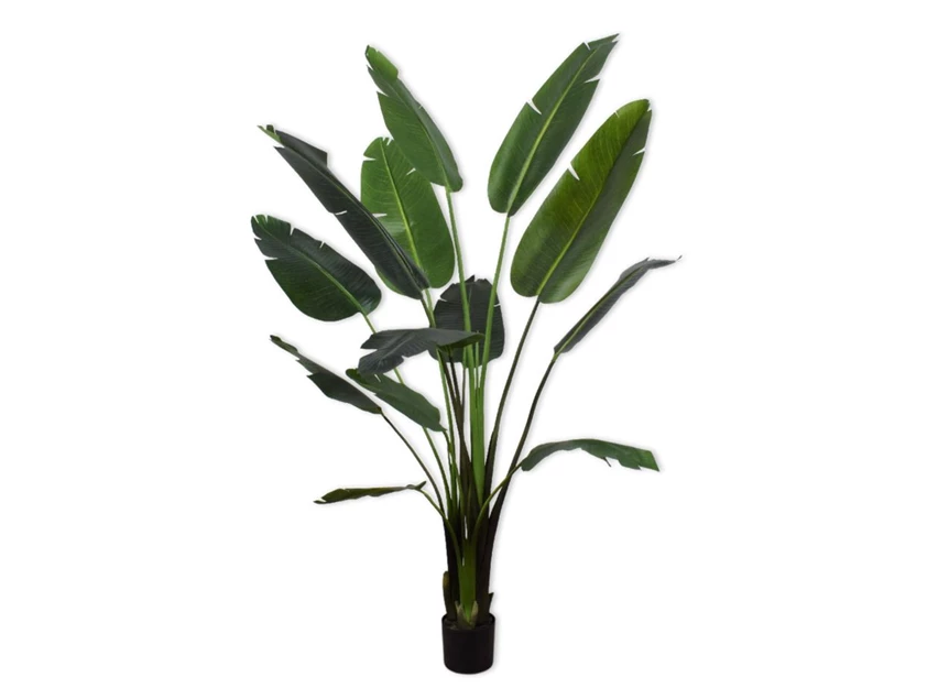 Kunstplant Strelitzia 183cm silk-ka