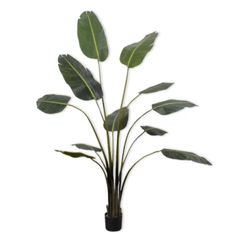 Kunstplant Strelitzia 183cm silk-ka