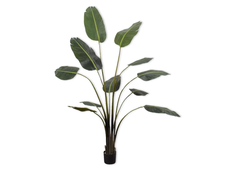 Kunstplant Strelitzia 183cm silk-ka