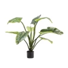Kunstplant Alocasia 91cm silk-ka