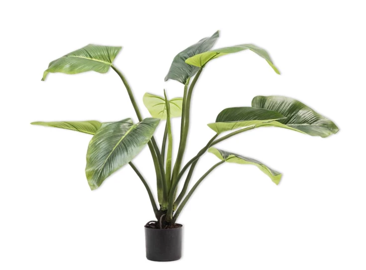 Kunstplant Alocasia 91cm silk-ka