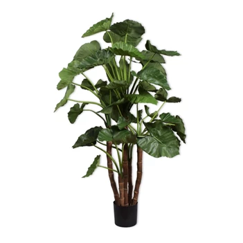 Kunstplant Alocasia 150cm silk-ka