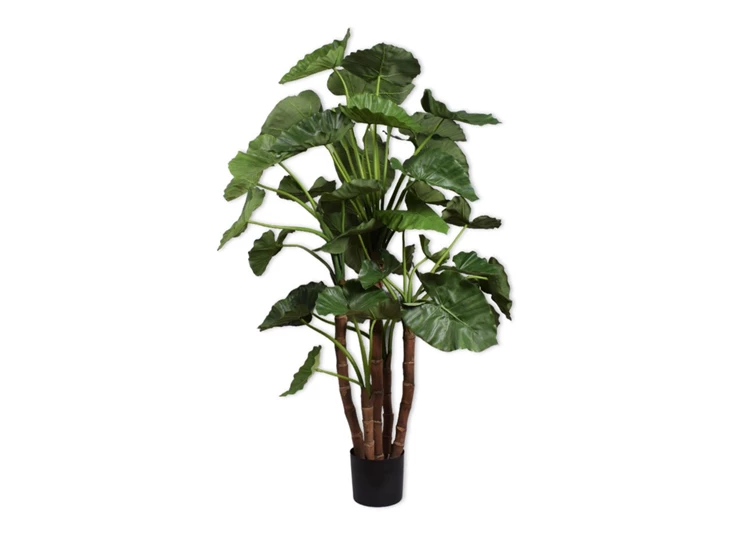 Kunstplant Alocasia 150cm silk-ka