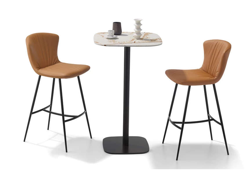 Aan bartafel Barstoel Dexter 2085-I Draenert