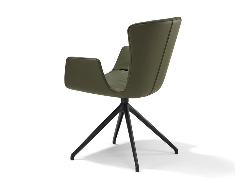 Achterkant Armstoel Dexter hoge stervoet 2059.2-I Draenert