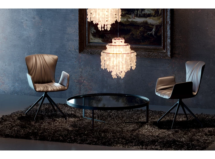 Sfeerfoto Armstoel Dexter hoge stervoet 2059.2-I Draenert