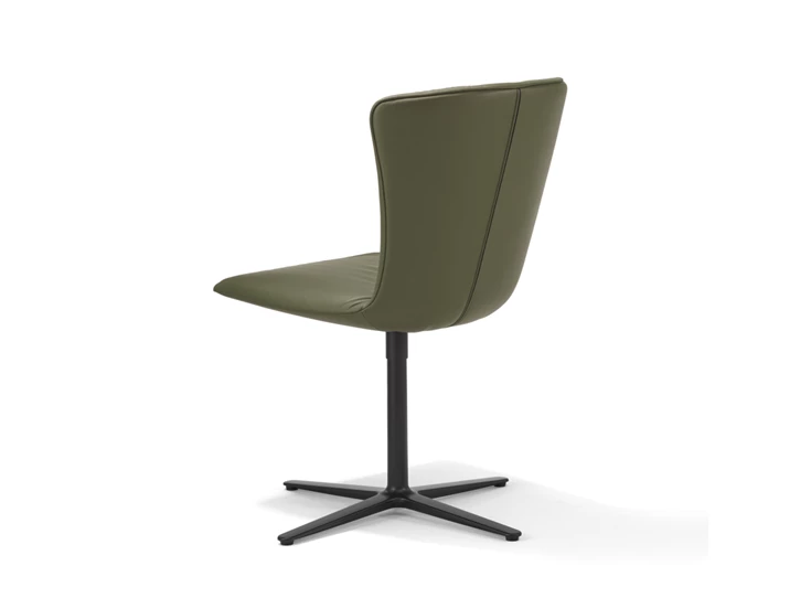 Achterkant Stoel Dexter lage stervoet 2059.1 Draenert