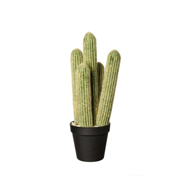 66216444 ASA kunstplant Cactus cleisto cactus 39 cm