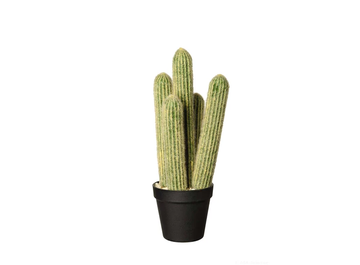 66216444 ASA kunstplant Cactus cleisto cactus 39 cm