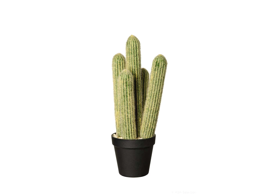 66216444 ASA kunstplant Cactus cleisto cactus 39 cm
