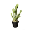 66214444 ASA Kunstplant Cactus Opuntia Ficus 41cm