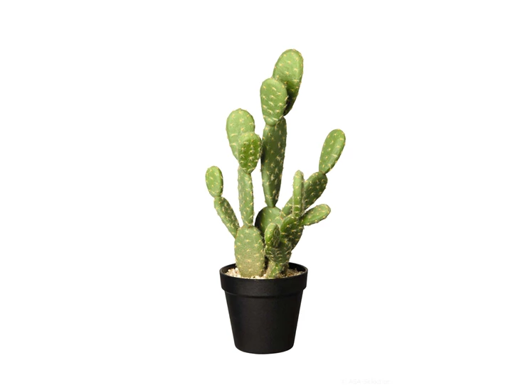66214444 ASA Kunstplant Cactus Opuntia Ficus 41cm