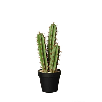 66213444 ASA kunstplant cactus pachycereus pringli