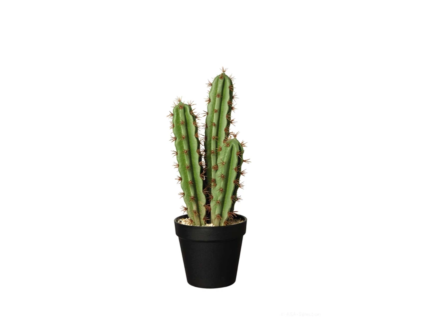 66213444 ASA kunstplant cactus pachycereus pringli