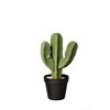 66212444 ASA Kunstplant Cactus Euphorbia Ingens