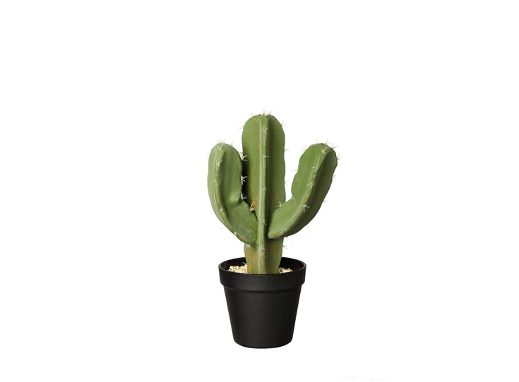 66212444 ASA Kunstplant Cactus Euphorbia Ingens