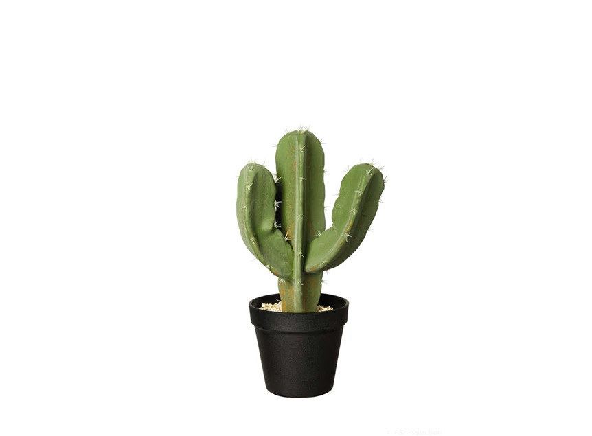 66212444 ASA Kunstplant Cactus Euphorbia Ingens