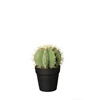 66211444 kunstplant cactus H25,5cm