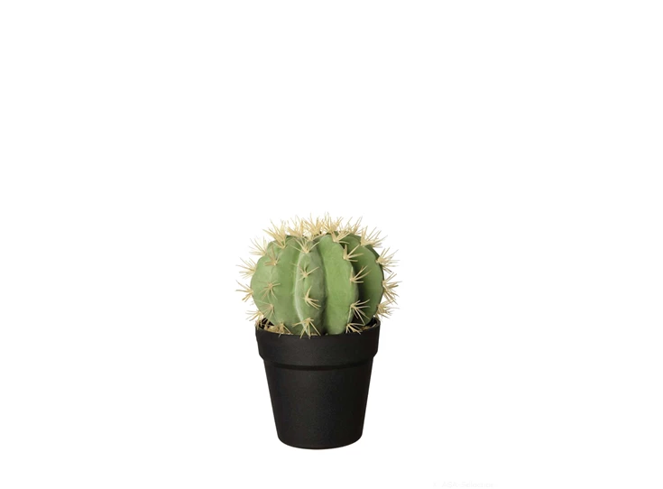 66211444 kunstplant cactus H25,5cm