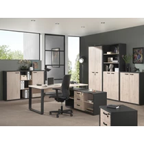 bureau capo