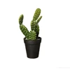 66204444 ASA Kunstplant Opuntia Ficus 26cm