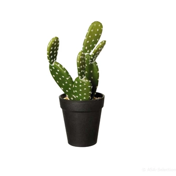 66204444 ASA Kunstplant Opuntia Ficus 26cm