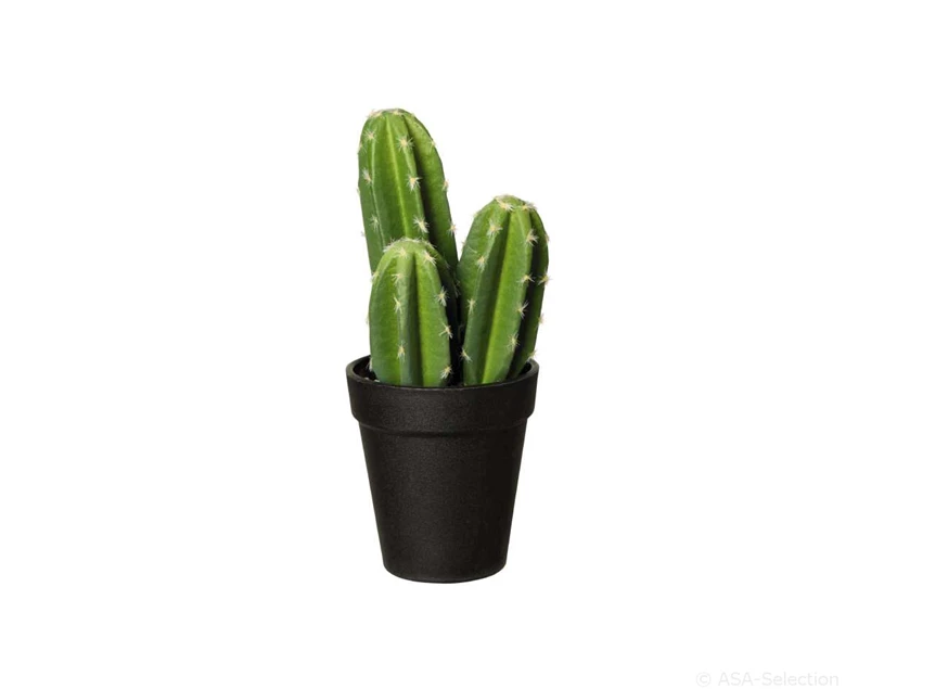 66203444 ASA Kunstplant Pachycereus Pringli 22cm