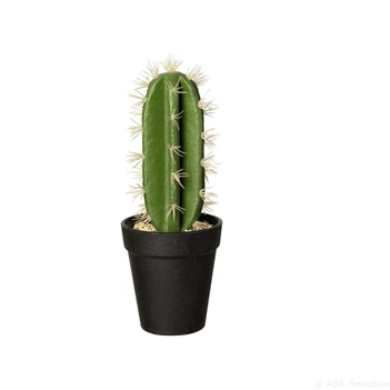 66202444 ASA Kunstplant Cactus Euphorbia Ingens 26cm