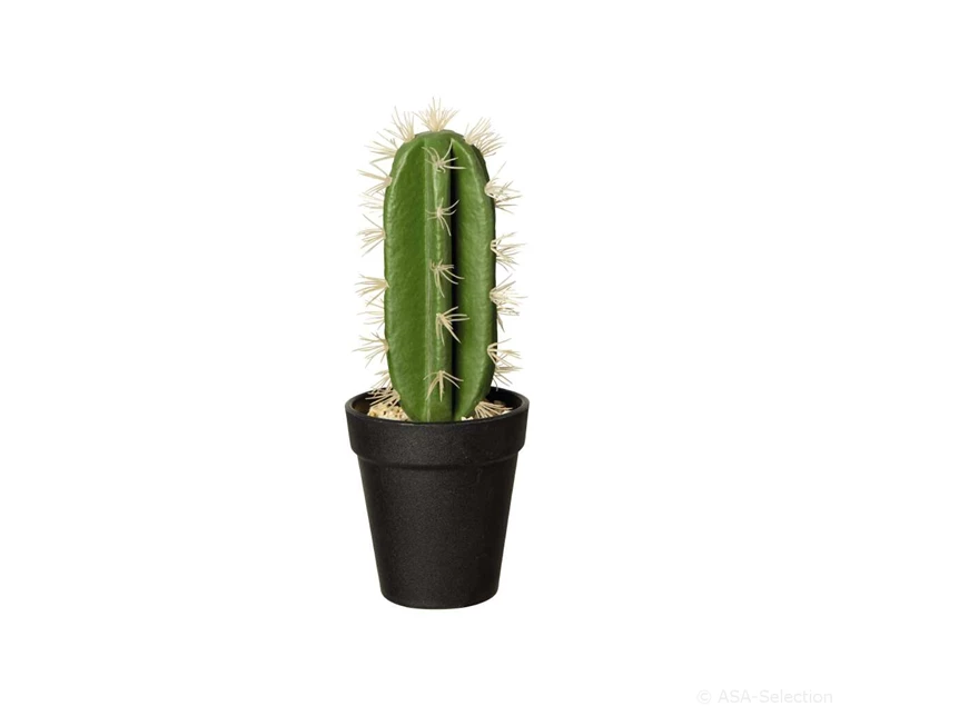 66202444 ASA Kunstplant Cactus Euphorbia Ingens 26cm