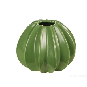 72030062 ASA vaas cactus bal groen