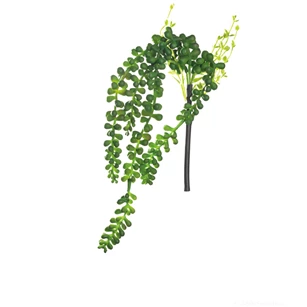 11631000 ASA Kunststof Hangende vetplant