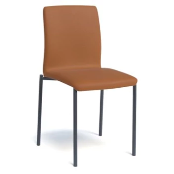 stoel Pro-G cognac Perfecta keukenstoel eetkamerstoel stoelen