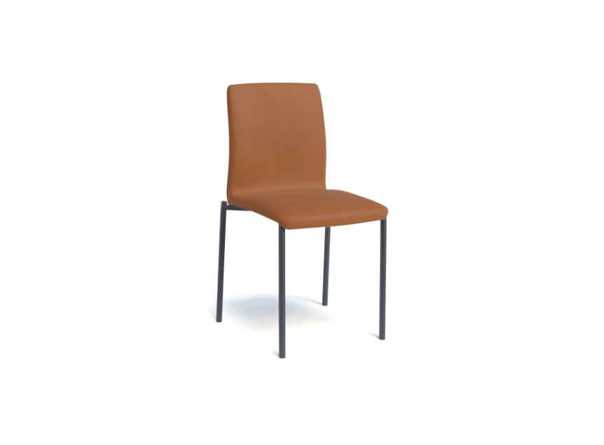 stoel Pro-G cognac Perfecta keukenstoel eetkamerstoel stoelen
