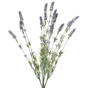 20011 Jolipa J-Line Bundel 15 takjes Lavendel Paars