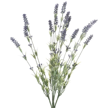 20011 Jolipa J-Line Bundel 15 takjes Lavendel Paars