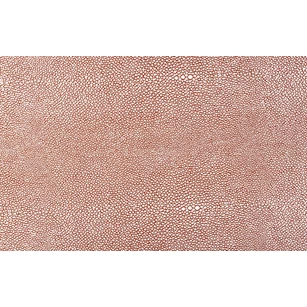 706388 placemat zilver op roestbruin 45x30cm yong