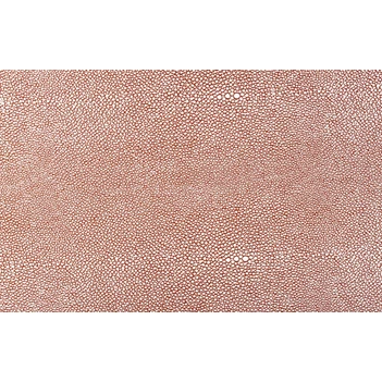 706388 placemat zilver op roestbruin 45x30cm yong