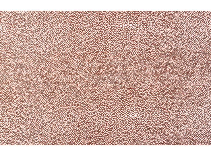 706388 placemat zilver op roestbruin 45x30cm yong