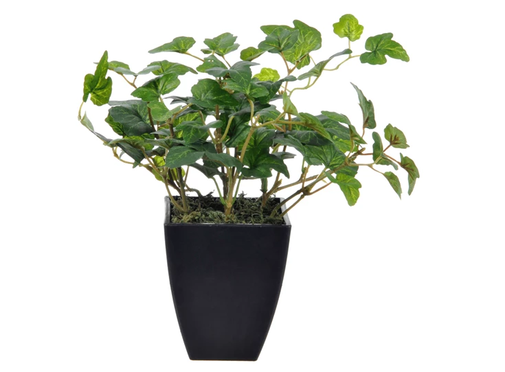 43849 Jolipa J-Line Kunstplant Klimop in zwarte pot